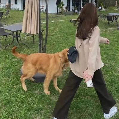 窈窕美眉