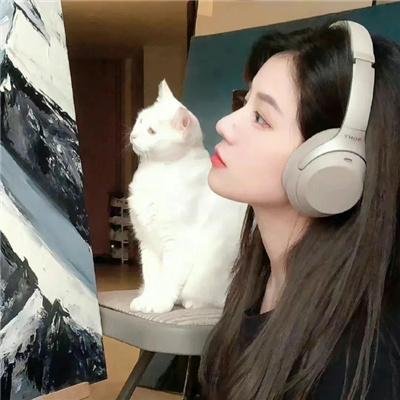 庐山假面目